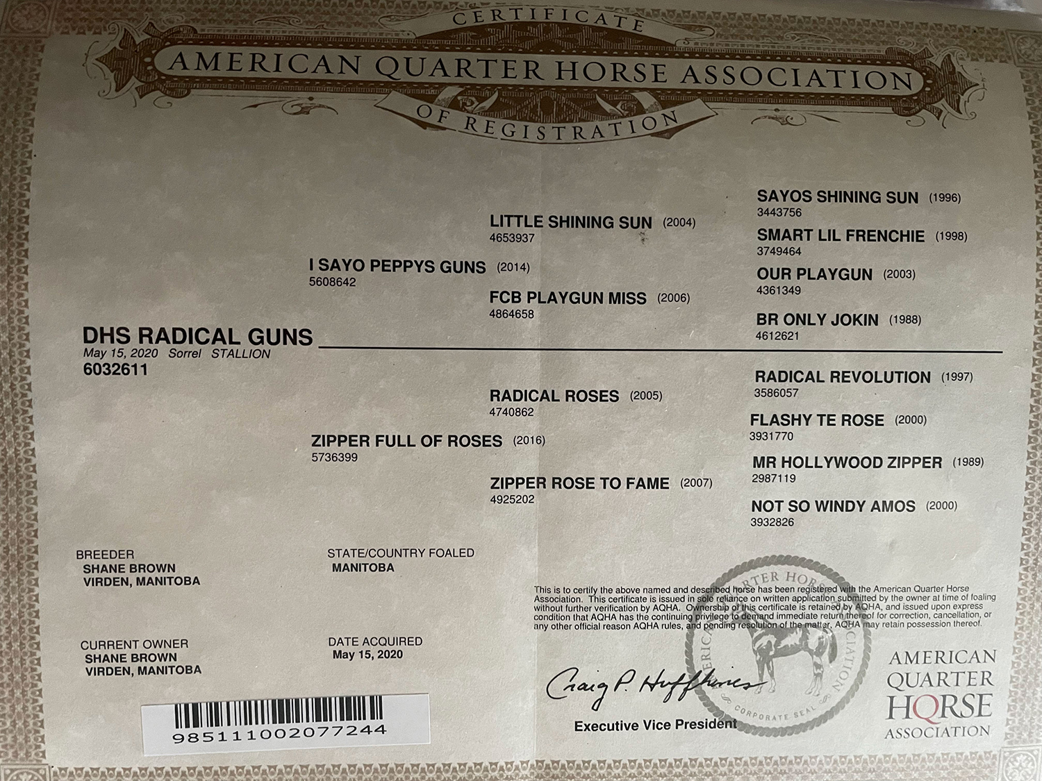 dhs-radical-guns-dollar-horse-services